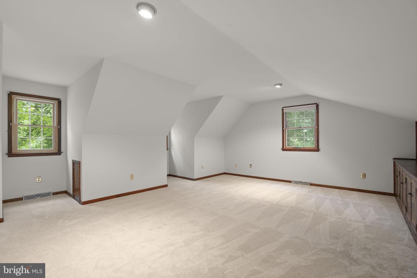10054 Green Clover Drive photo 28