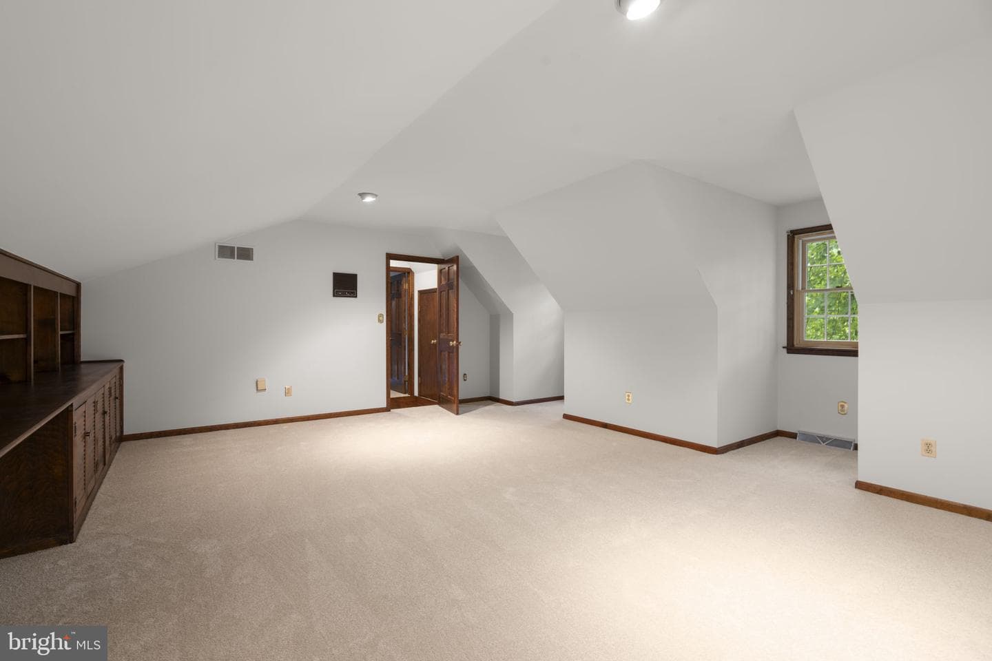 10054 Green Clover Drive photo 29