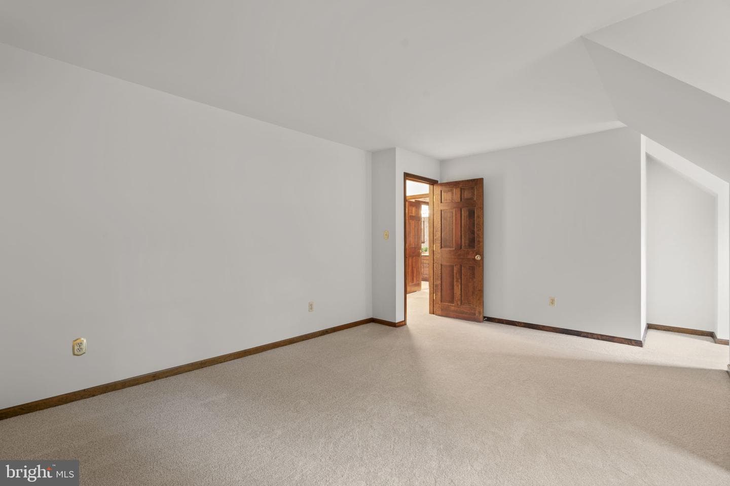 10054 Green Clover Drive photo 37