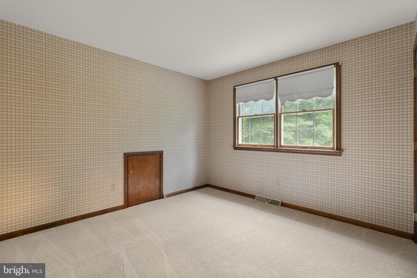 10054 Green Clover Drive photo 40