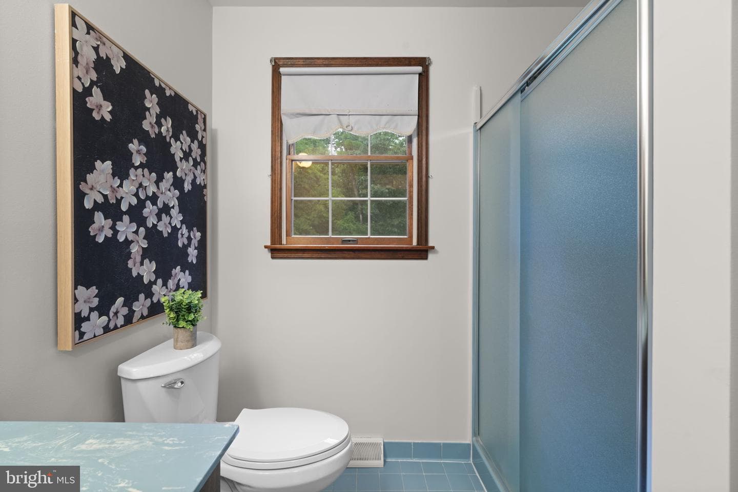 10054 Green Clover Drive photo 43