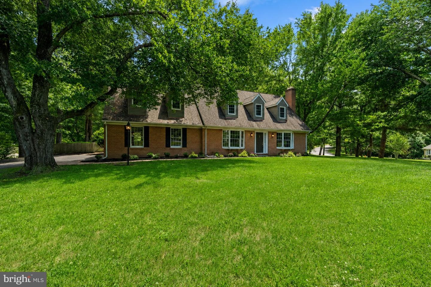 10054 Green Clover Drive photo 48