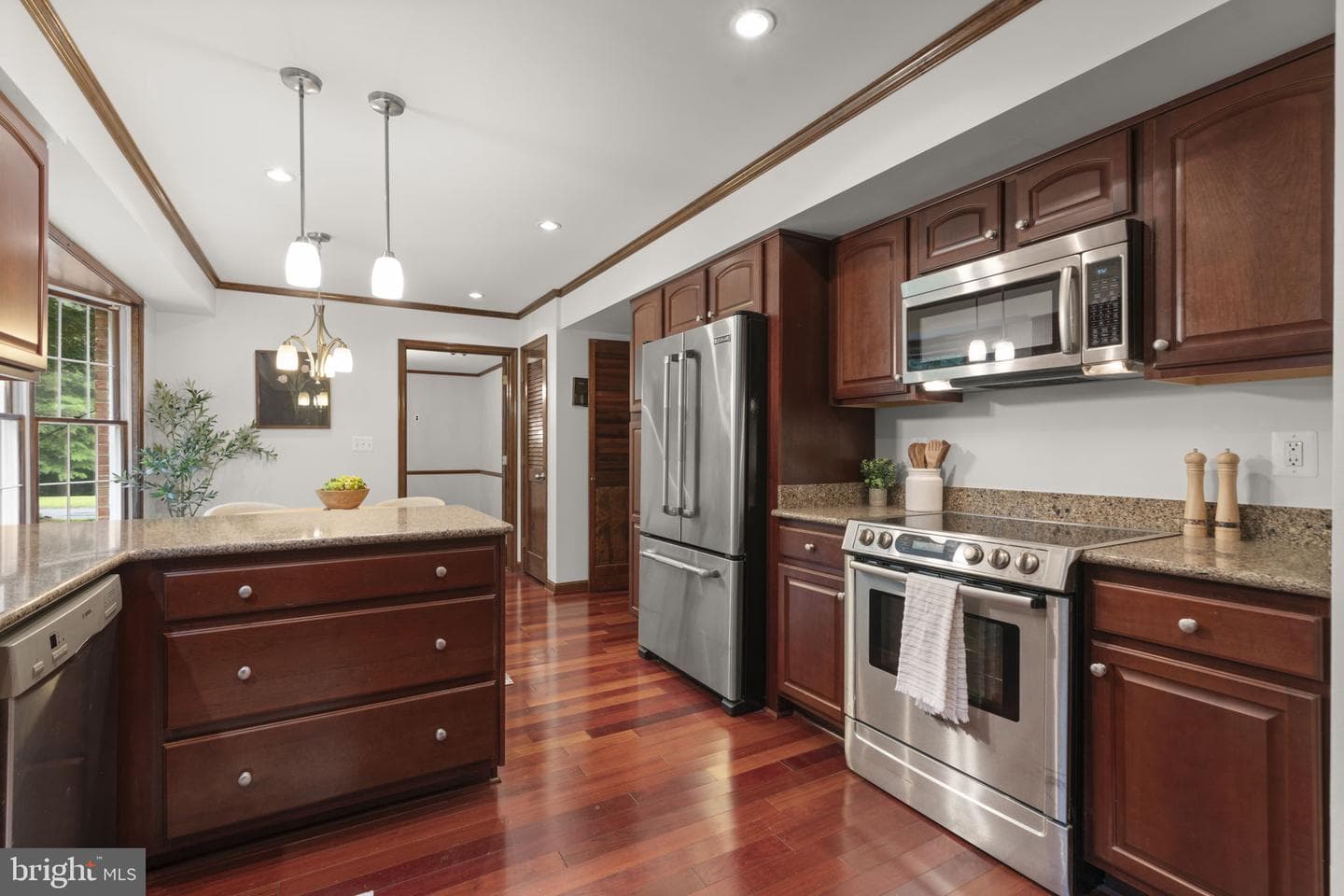 10054 Green Clover Drive photo 9