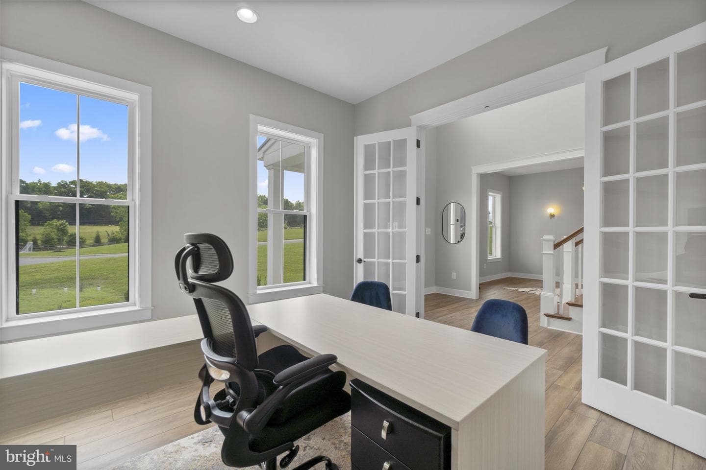 3007 Skye Meadow Way photo 19