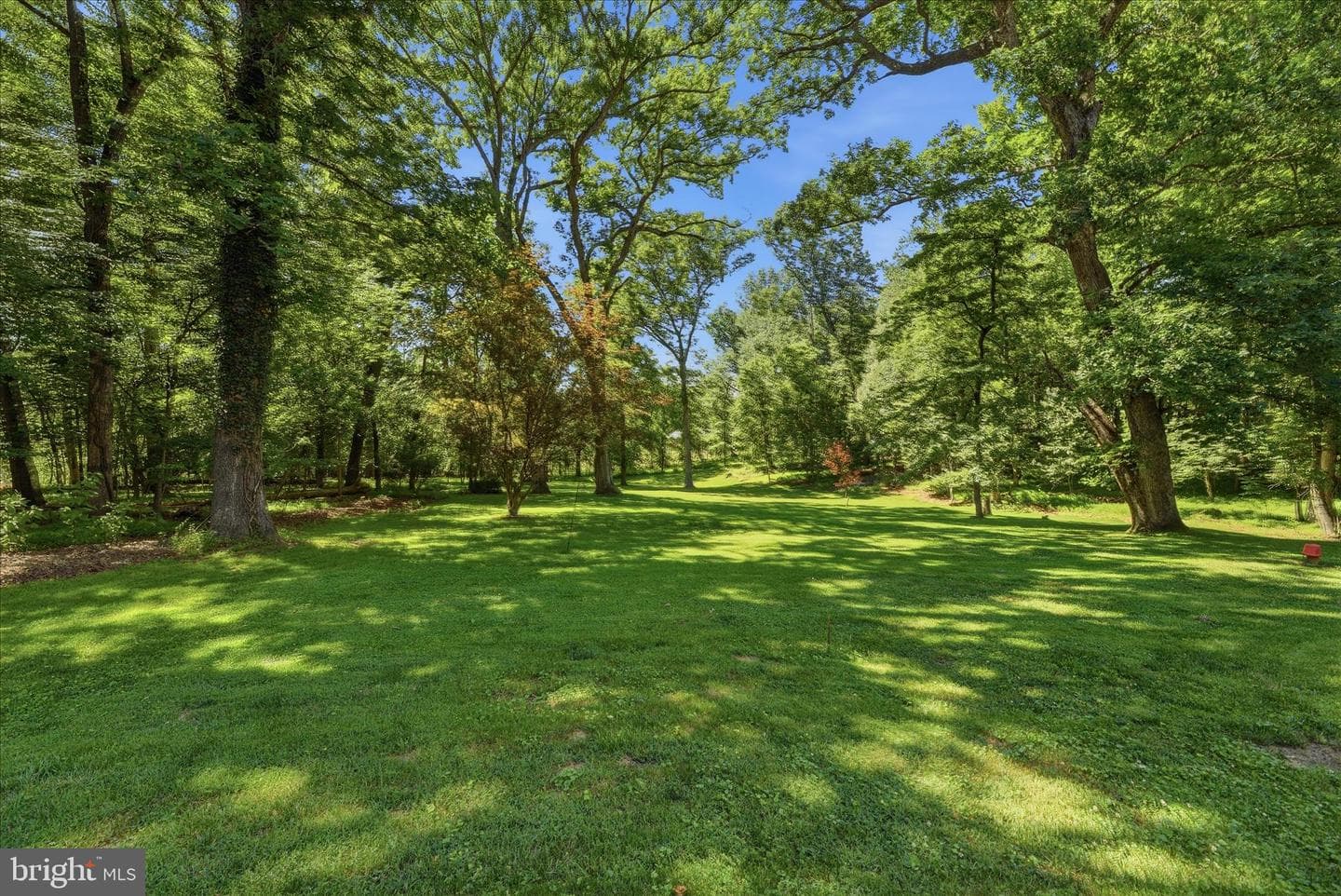 3340 Daisy Road photo 50