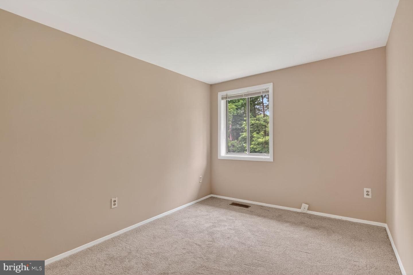6584 Sweet Fern photo 14