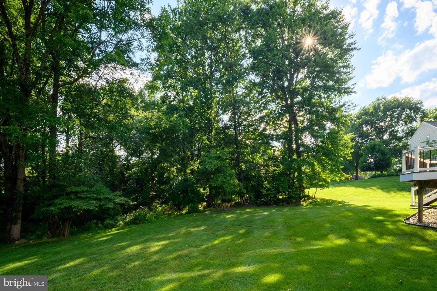 8524 White Winter Court photo 46