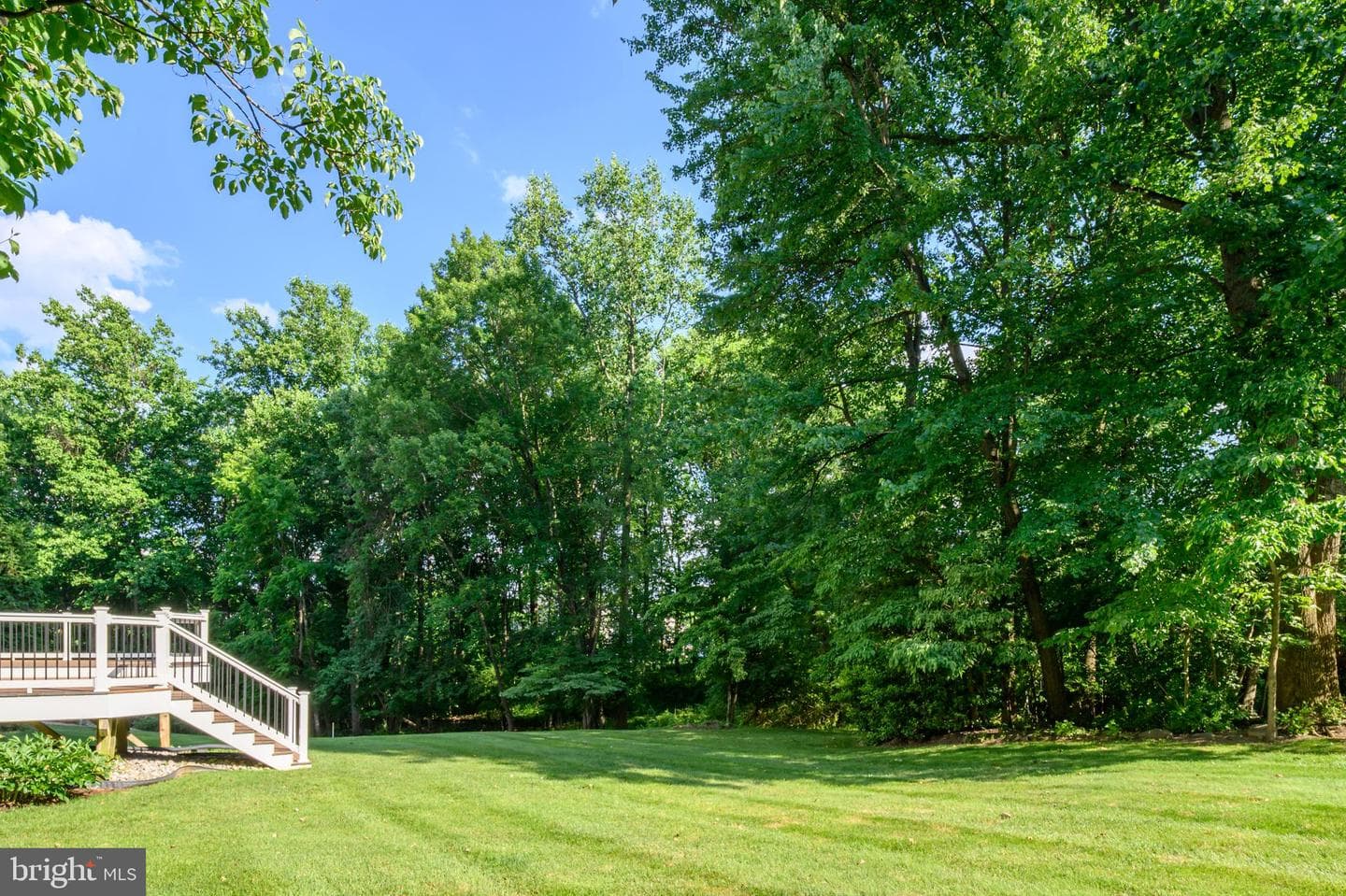 8524 White Winter Court photo 47