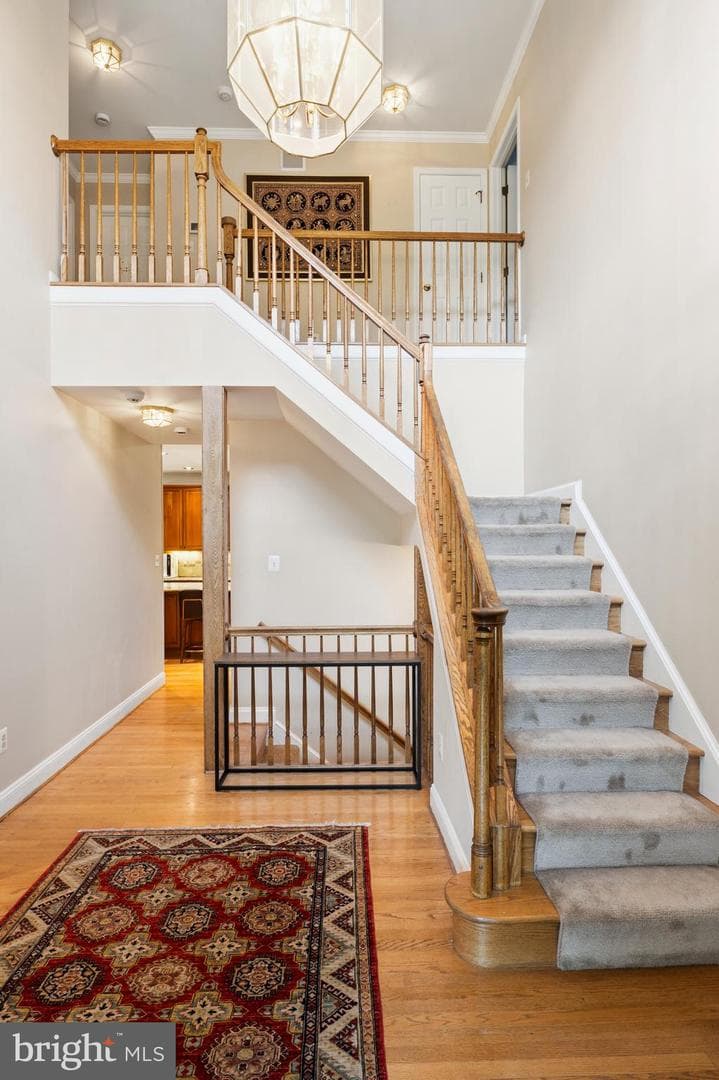 12074 Broad Meadow Lane photo 11