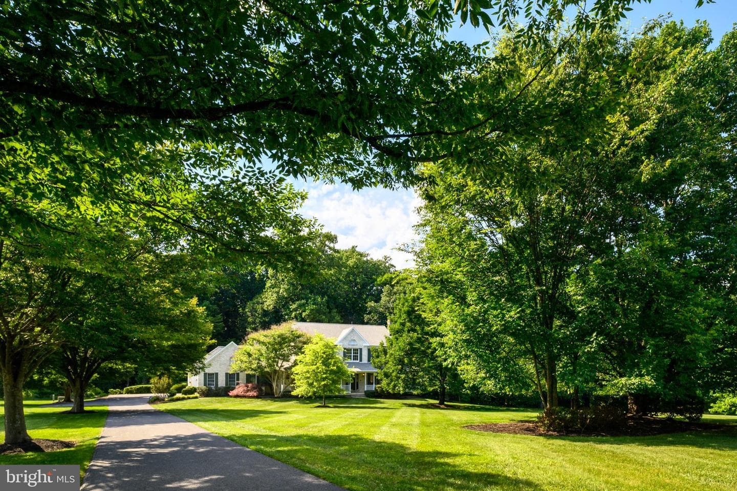12074 Broad Meadow Lane photo 4