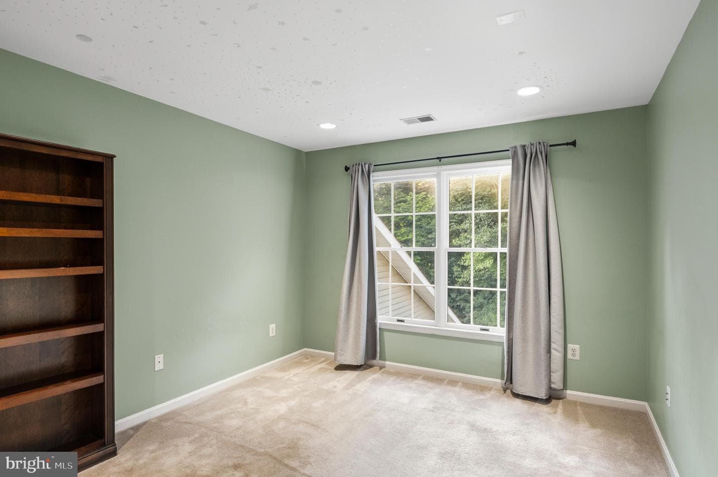 12074 Broad Meadow Lane photo 40