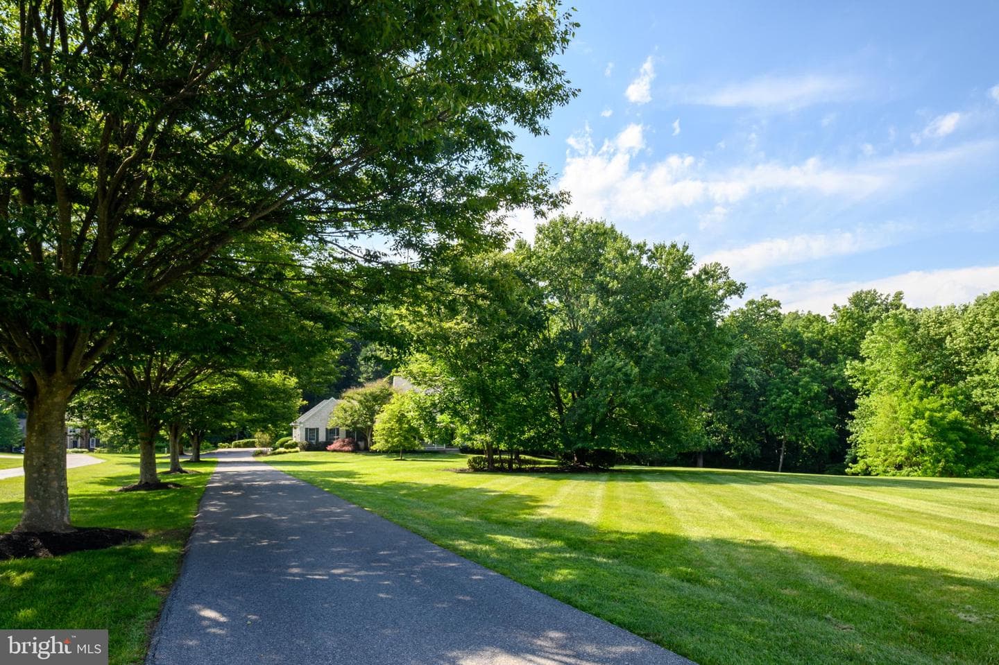 12074 Broad Meadow Lane photo 5