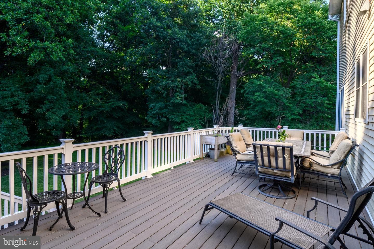 12074 Broad Meadow Lane photo 54