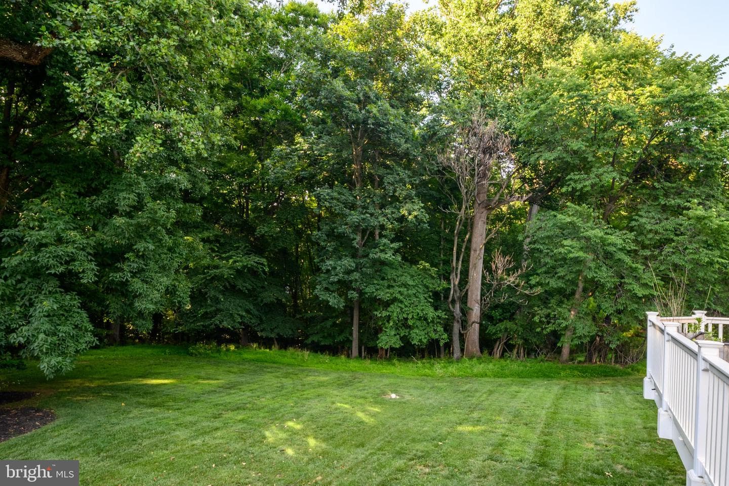 12074 Broad Meadow Lane photo 55