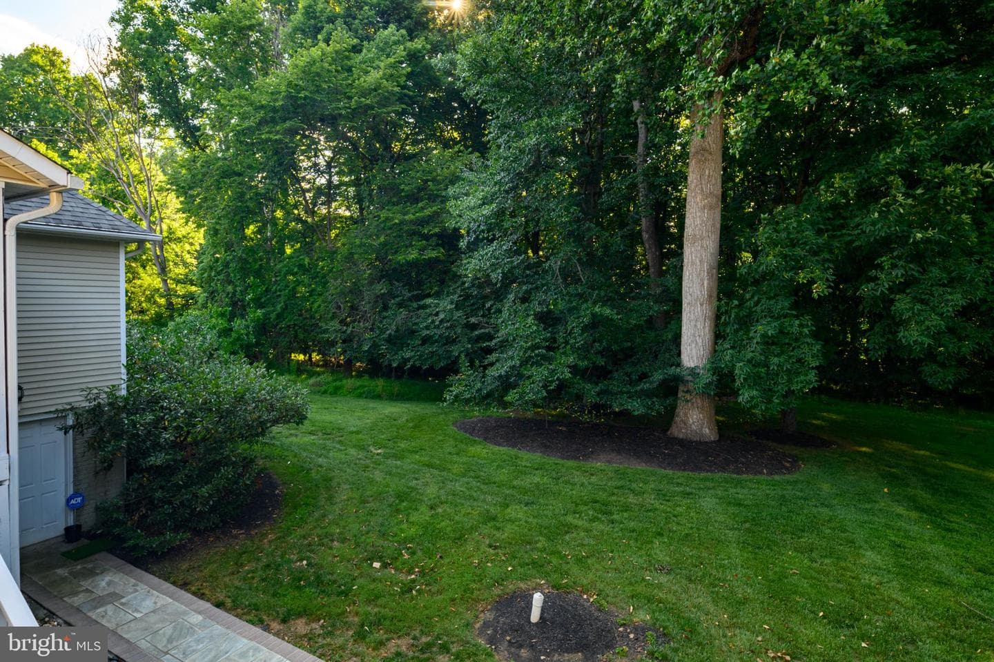 12074 Broad Meadow Lane photo 56