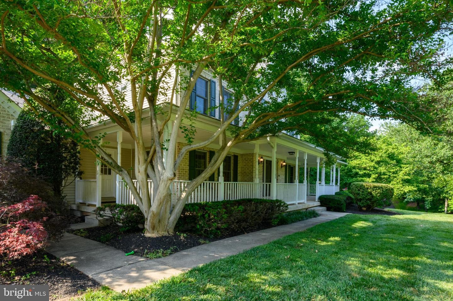 12074 Broad Meadow Lane photo 6