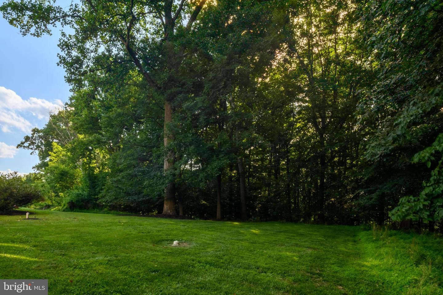 12074 Broad Meadow Lane photo 61
