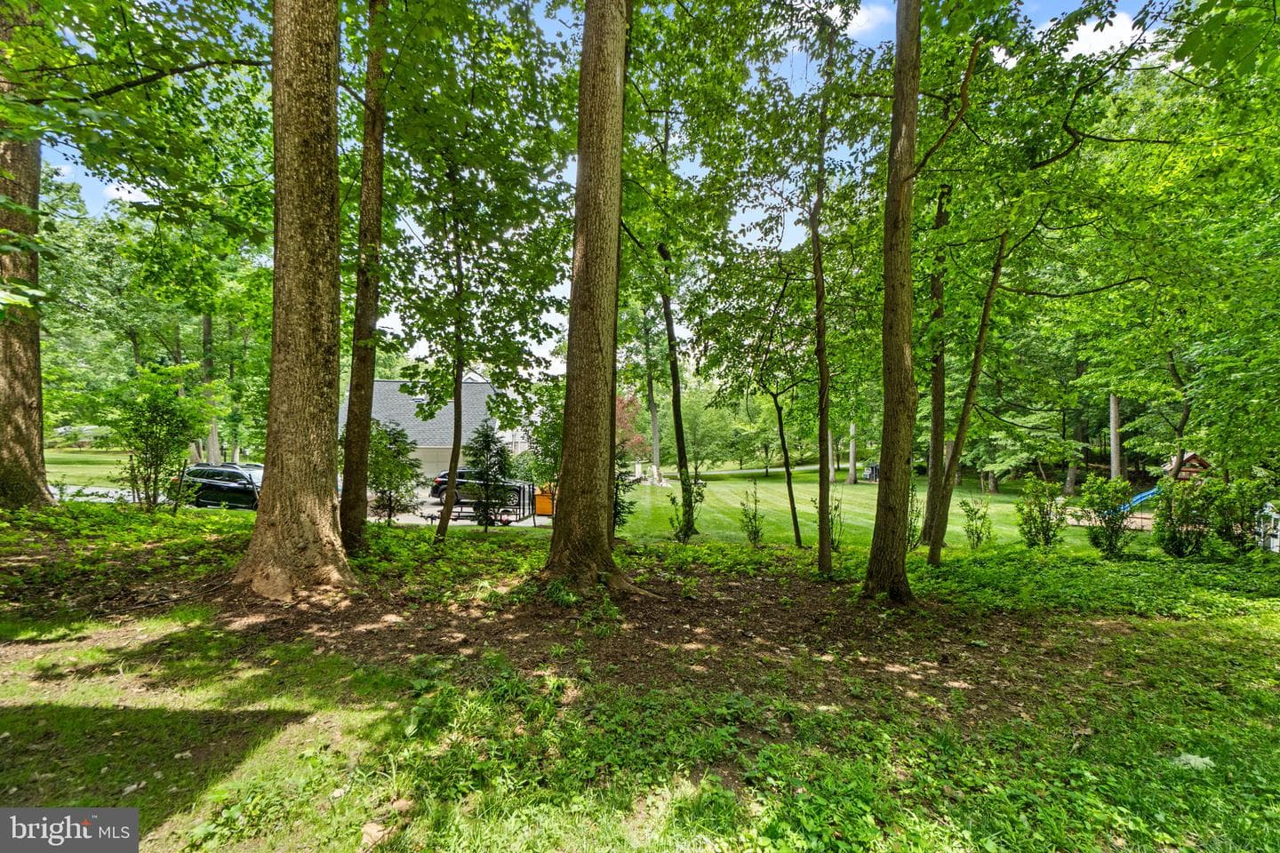12262 Etchison Road photo 44