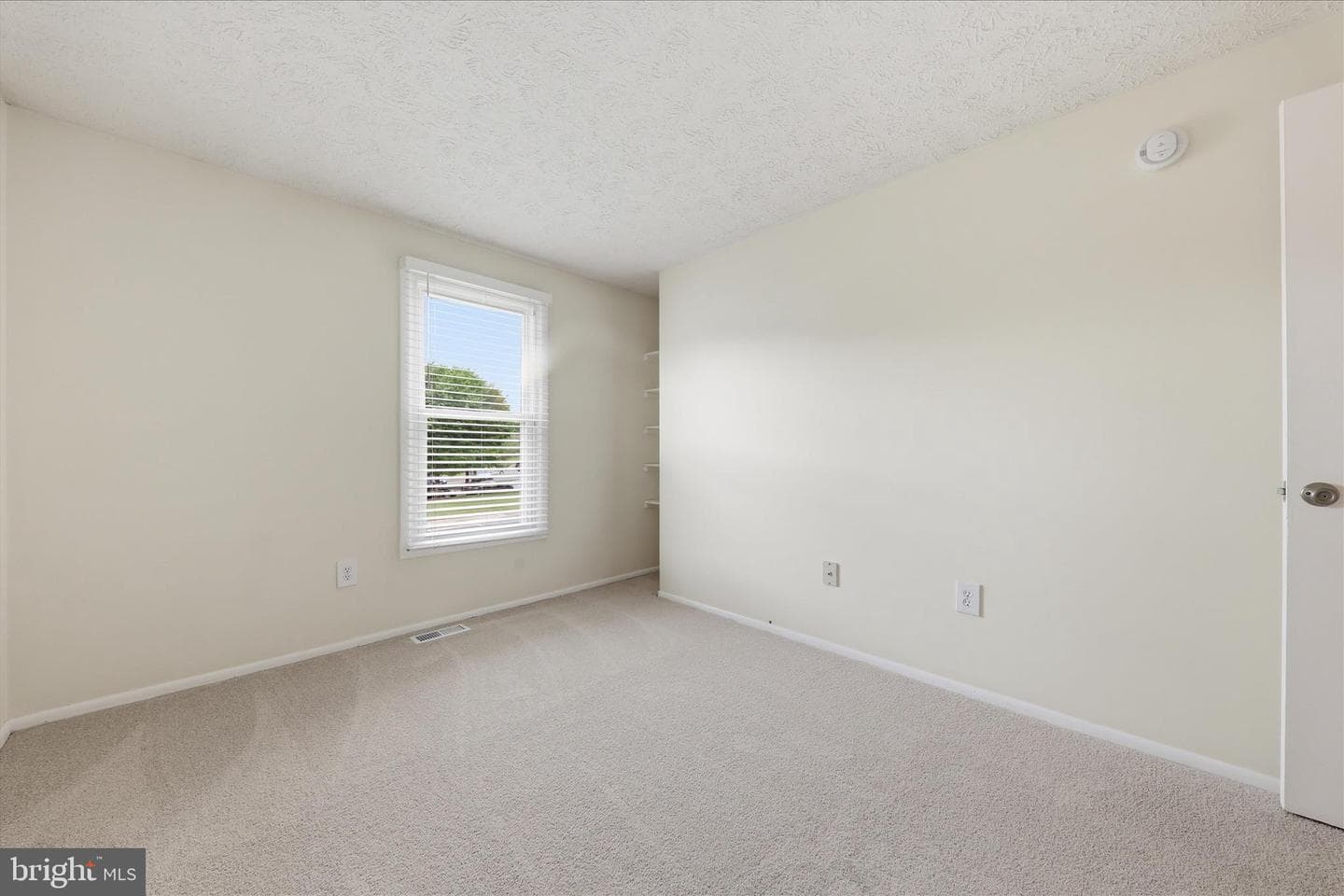 6317 Loring Drive photo 26