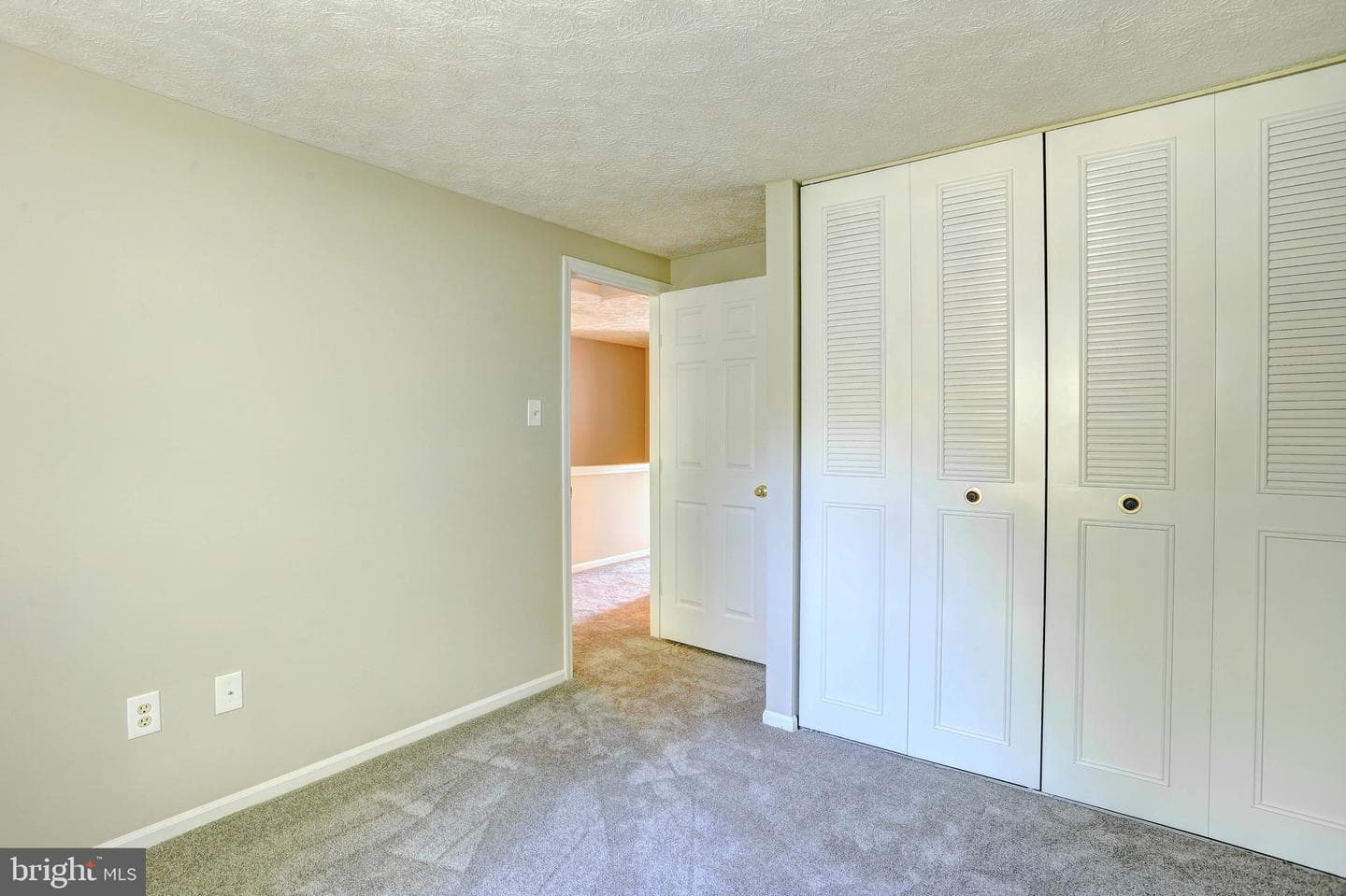 8315 Silver Trumpet Drive photo 17
