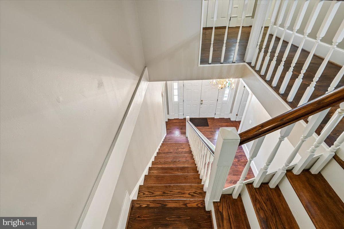 7302 Meadow Wood Way photo 66