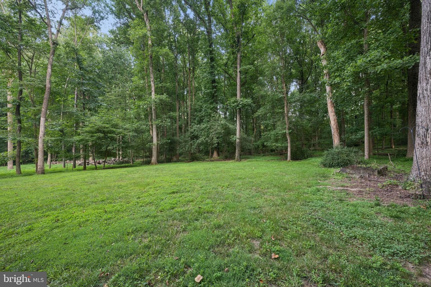 9685 Gwynn Park Drive photo 46
