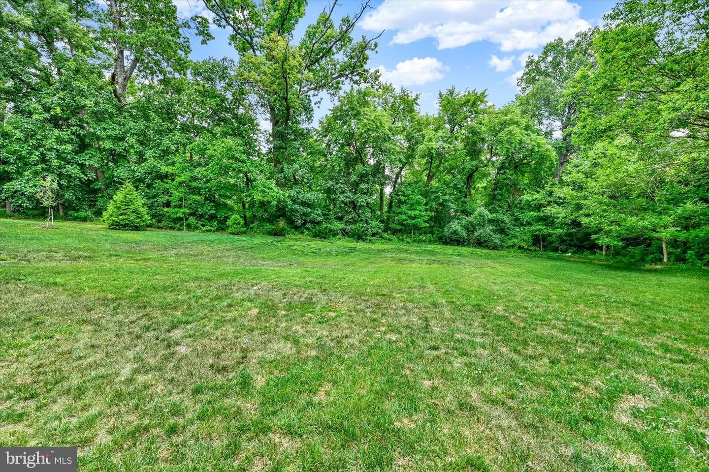 7510 Leafy Tree Lane photo 44