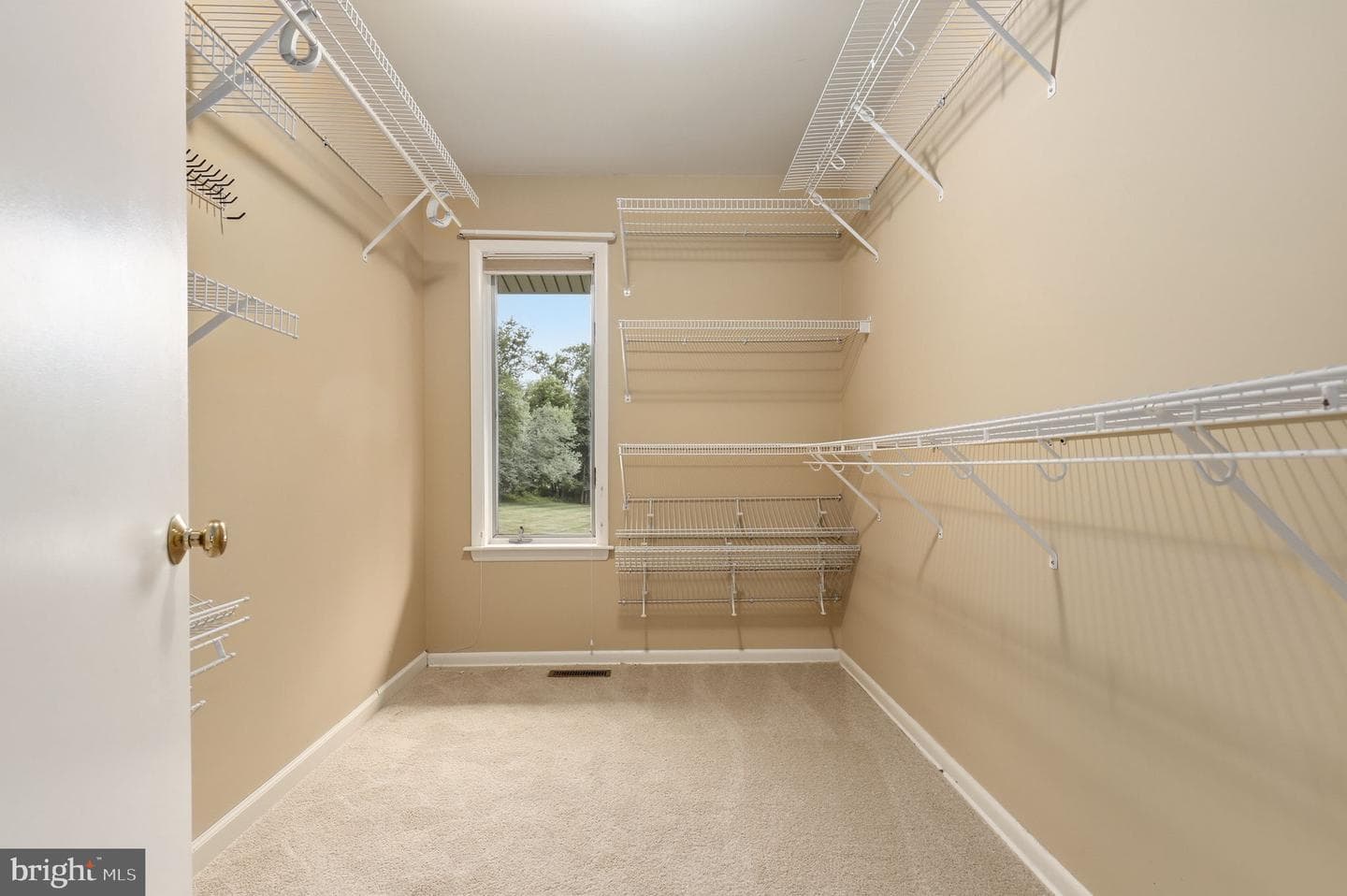 15612 Bushy Park Road photo 43