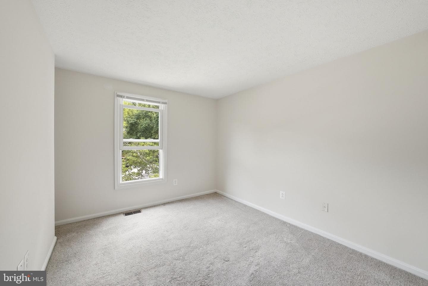 3801 Bonnybridge Place photo 22