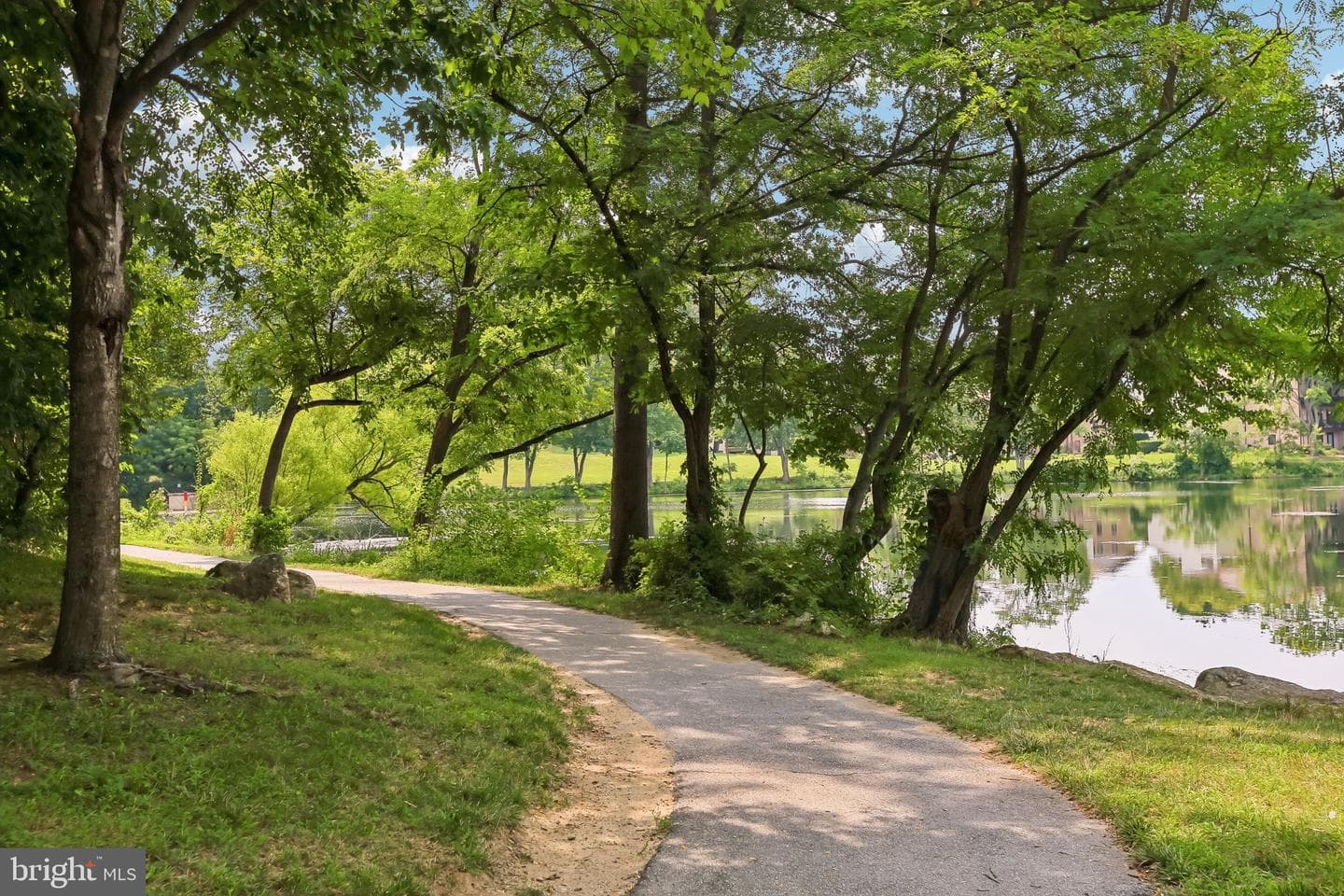 10128 Goodbody Court photo 44