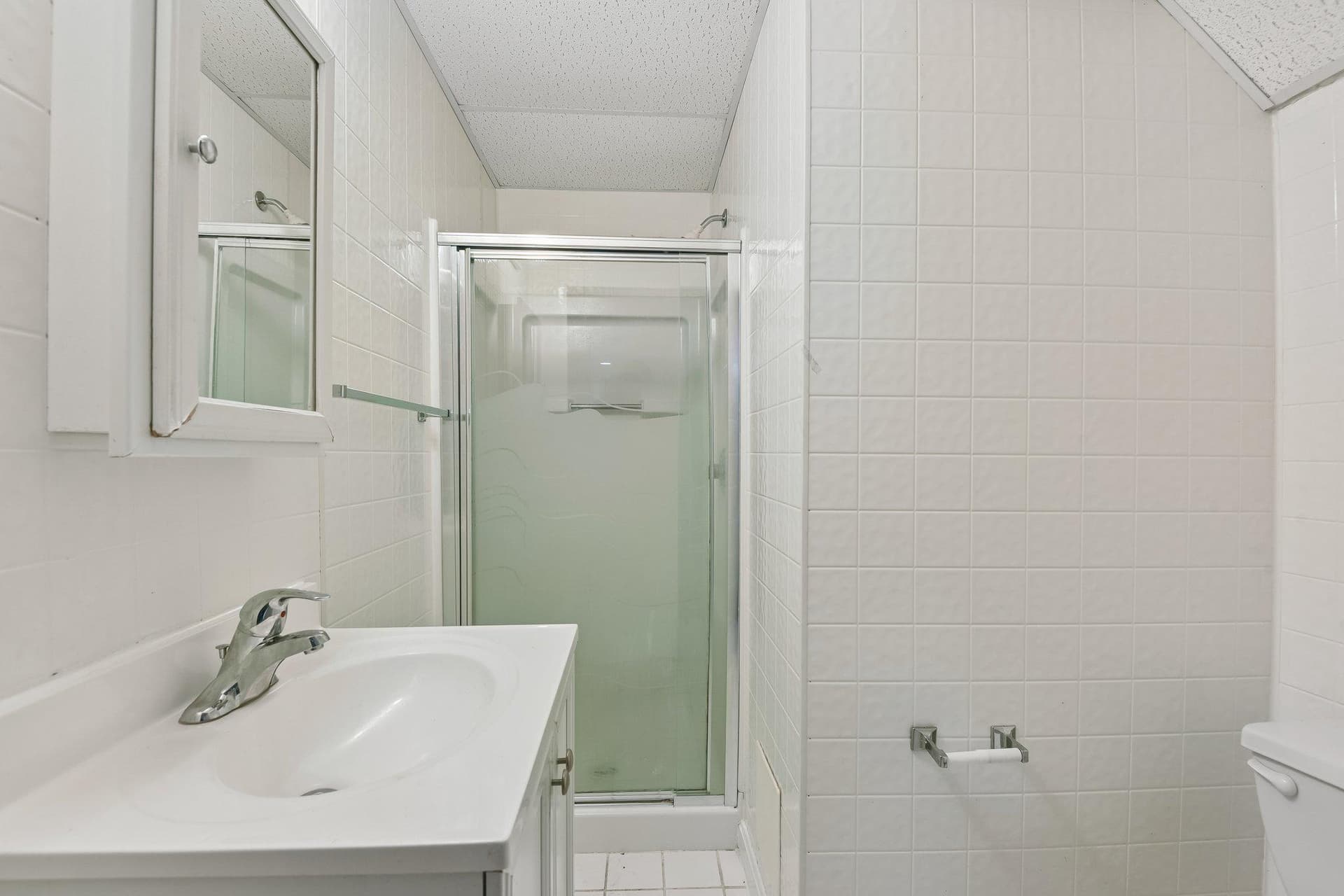 10206 Green Clover Court photo 20