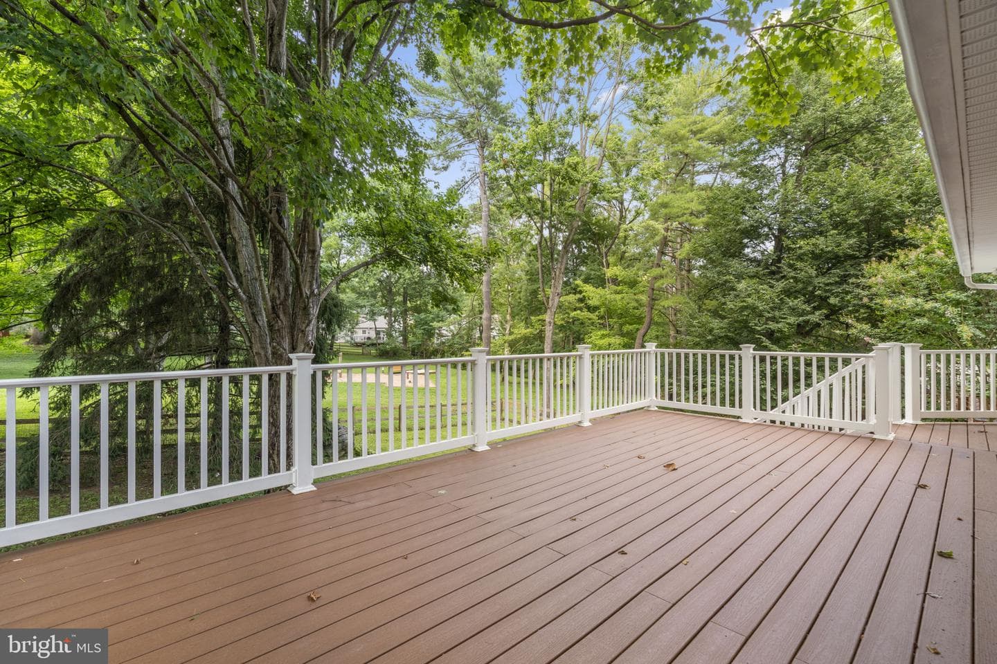 5414 Hesperus Drive photo 38