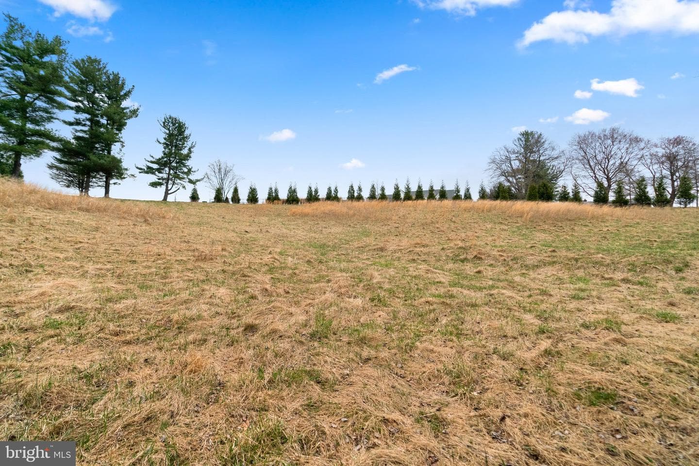 12425 Hill Crest photo 15