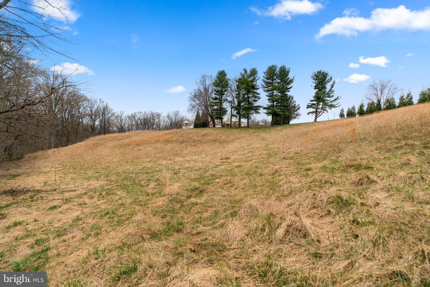 12425 Hill Crest photo 17