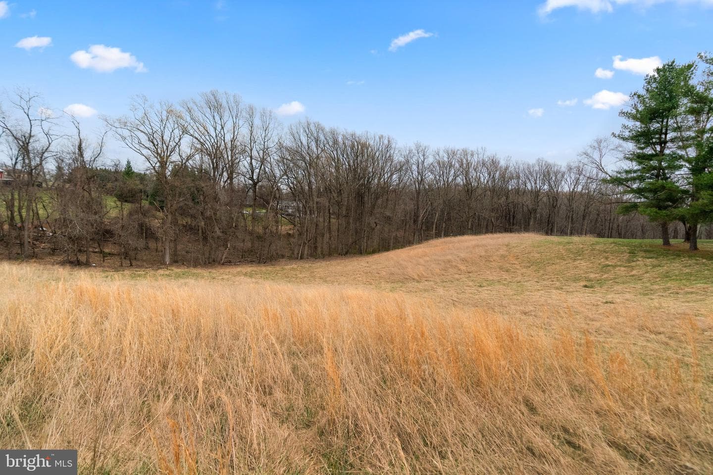 12425 Hill Crest photo 18