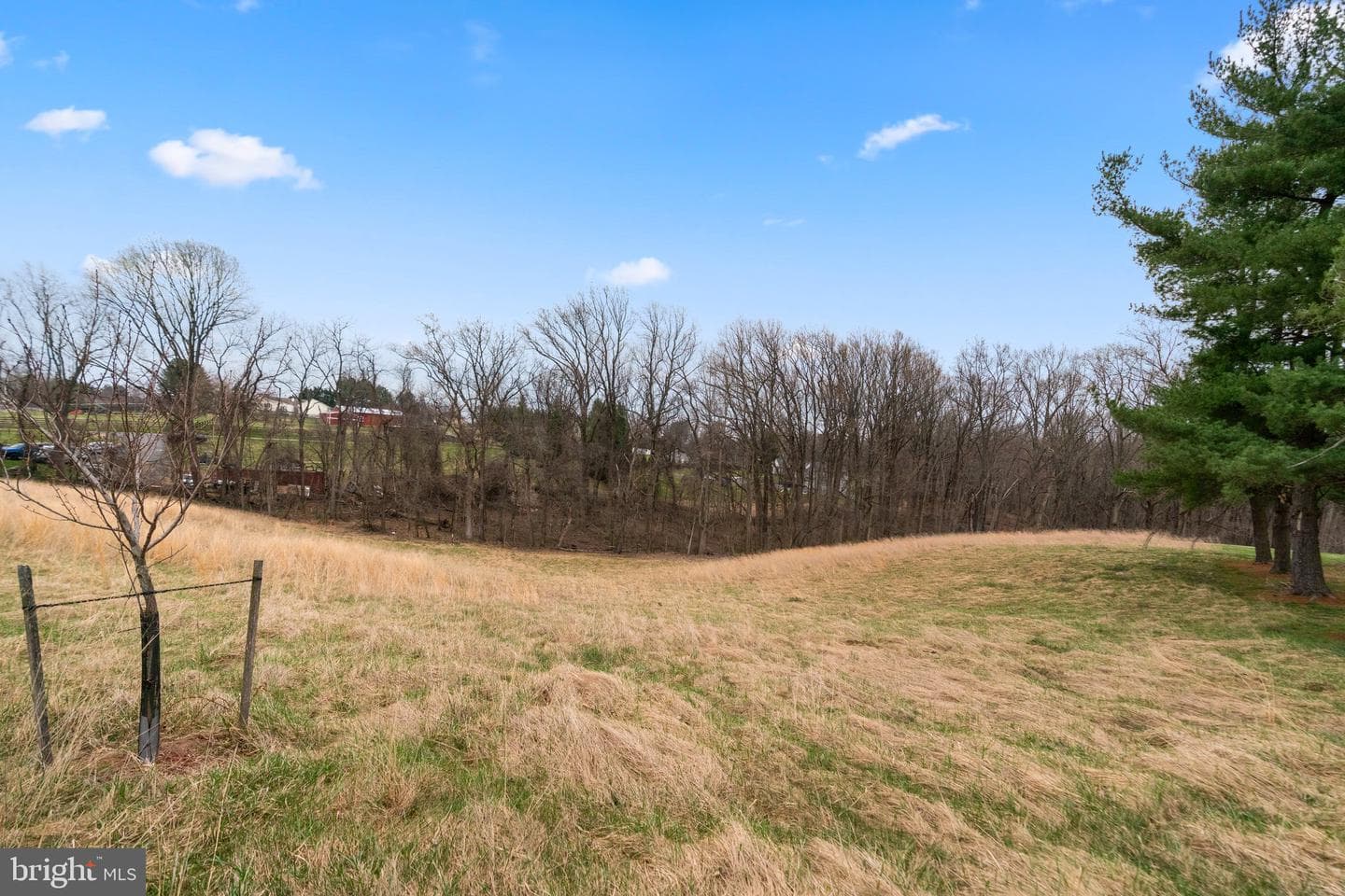12425 Hill Crest photo 20