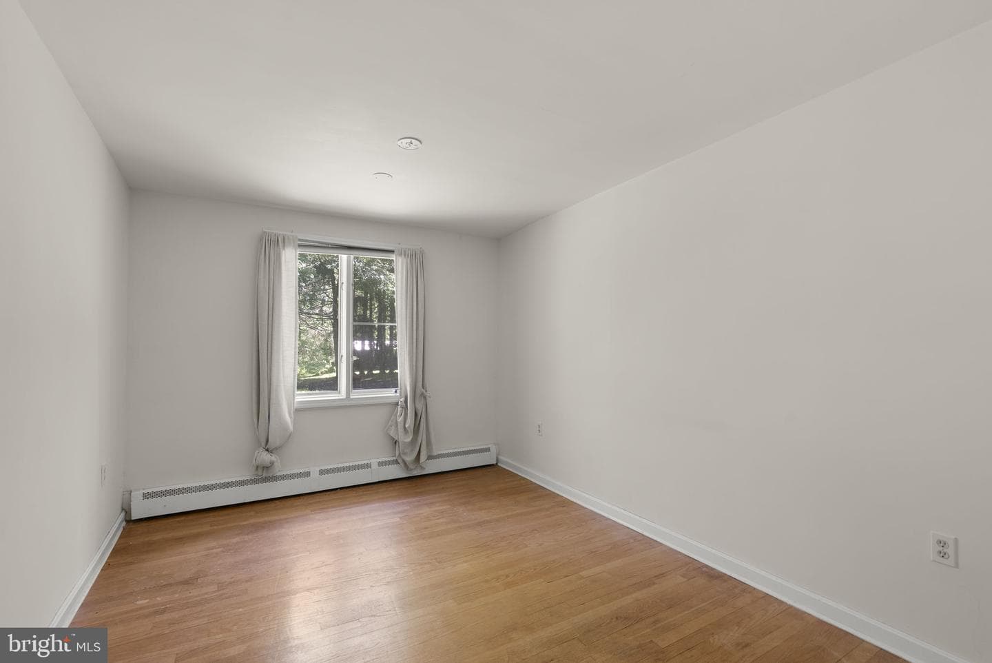 4376 Route 97 Avenue photo 21