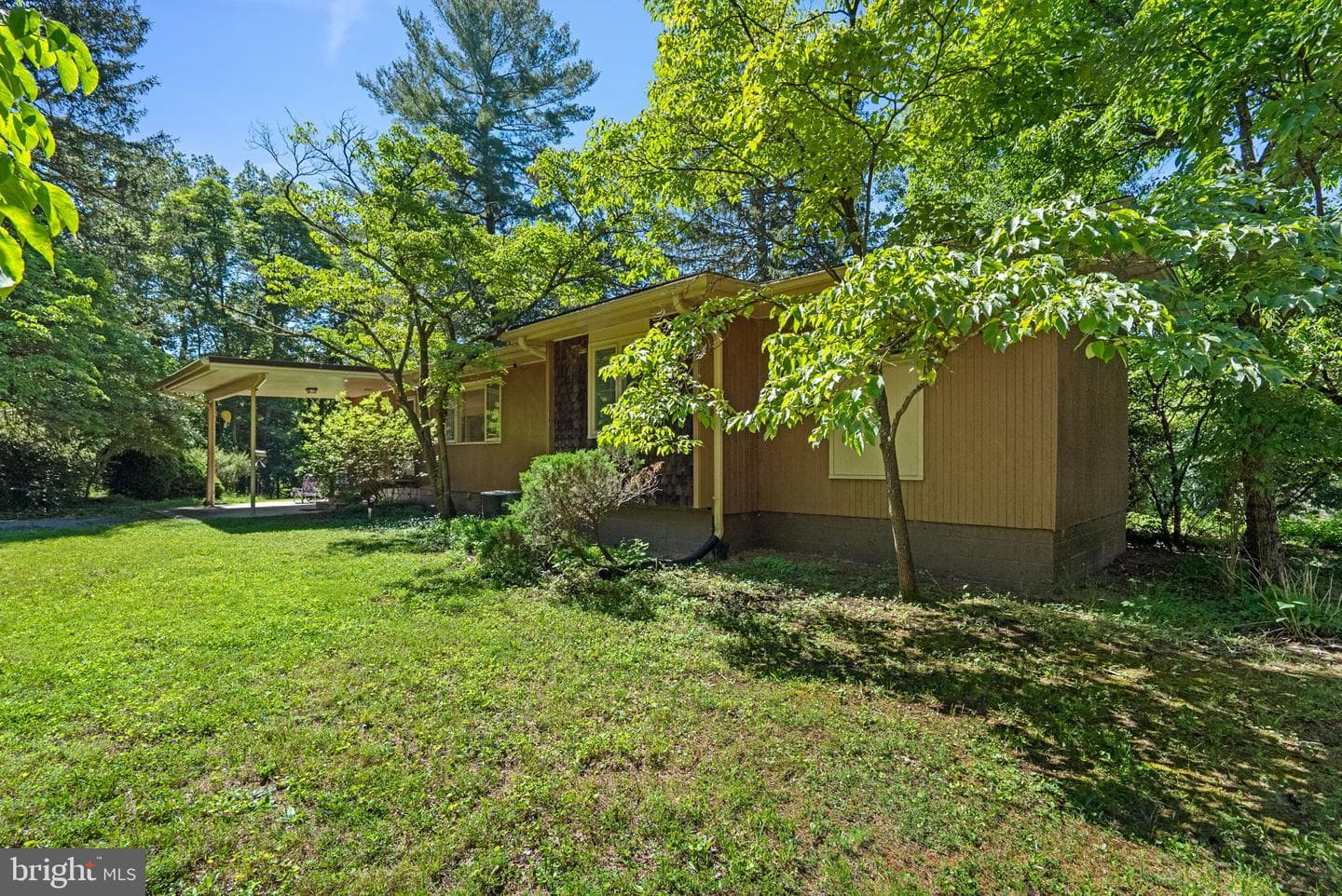 4376 Route 97 Avenue photo 3