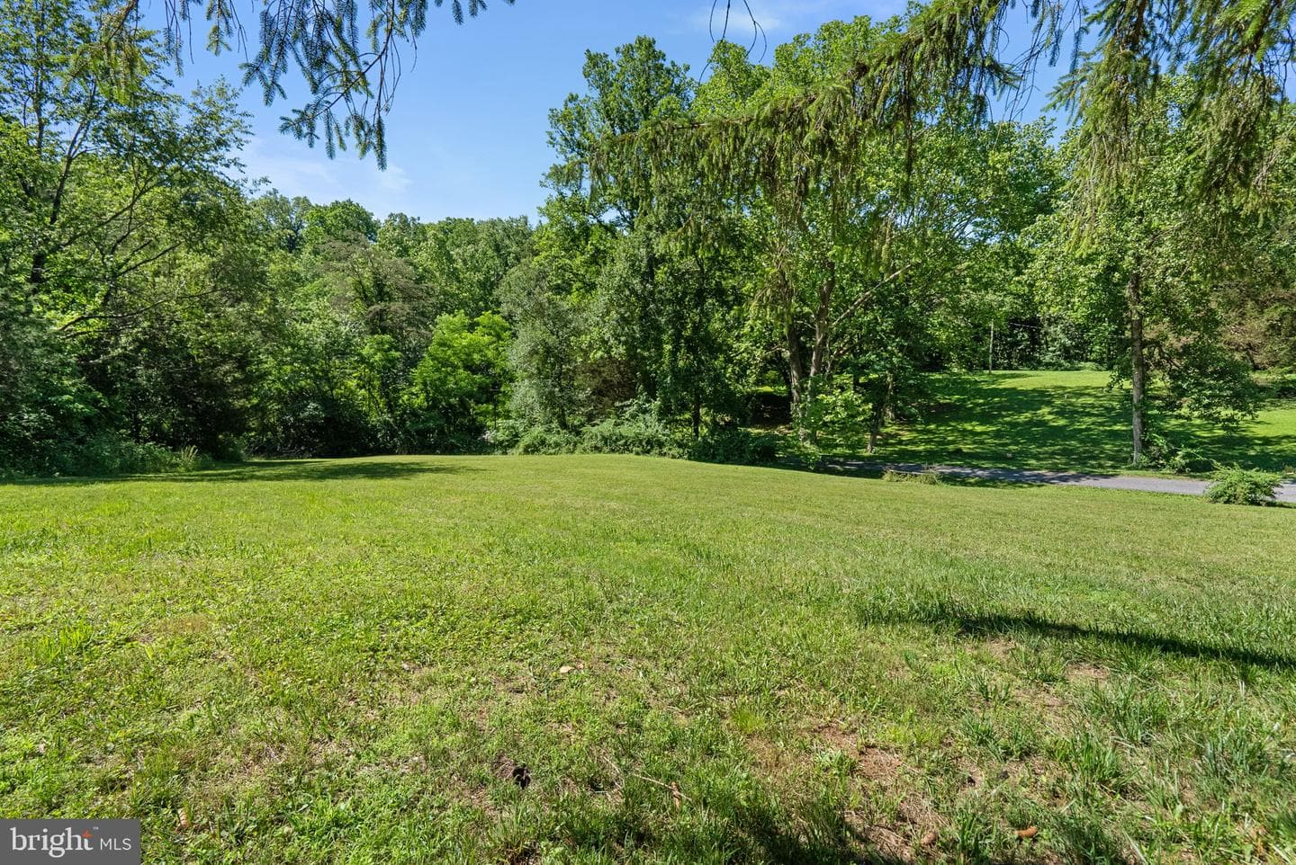4376 Route 97 Avenue photo 56