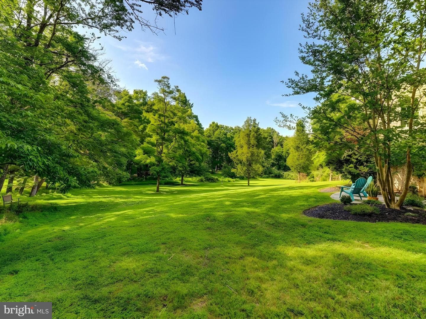 12806 Forestview Court photo 40