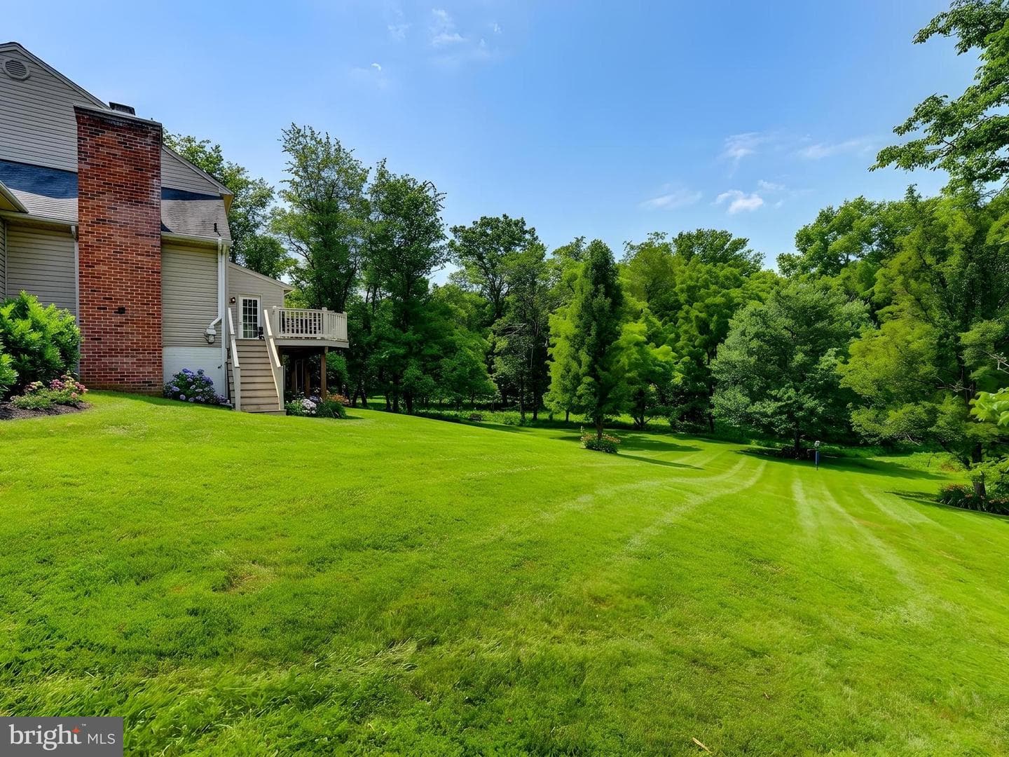 12806 Forestview Court photo 41