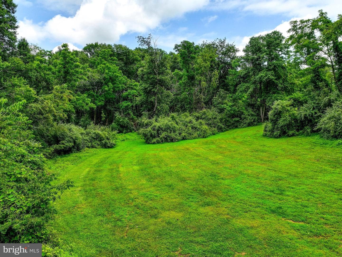 12806 Forestview Court photo 60