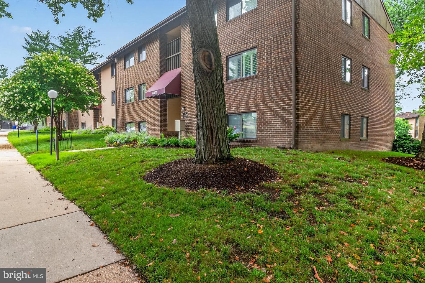 6021 Majors Lane #1 B13 photo 4