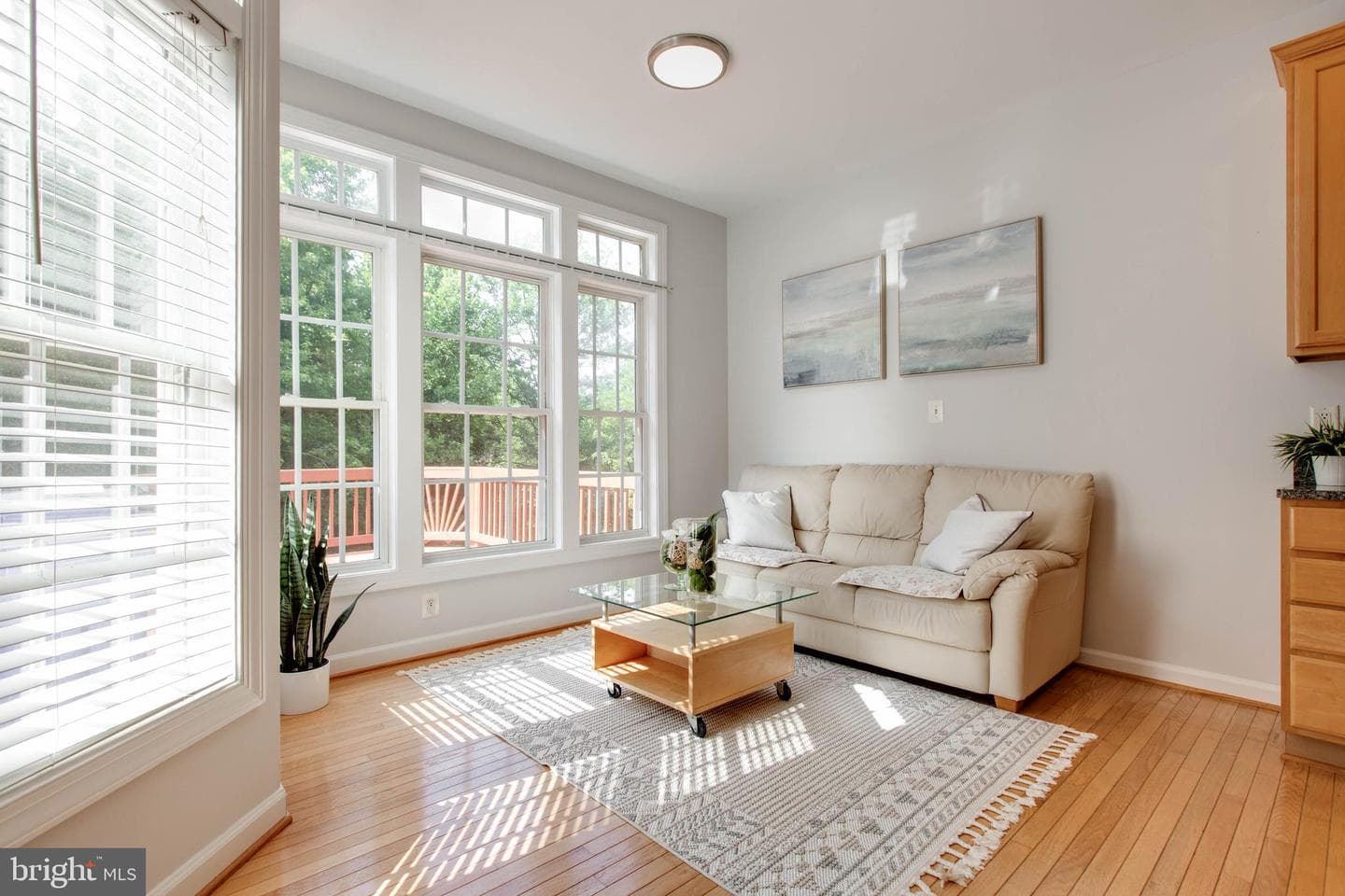 10806 Wadsworth Road photo 13