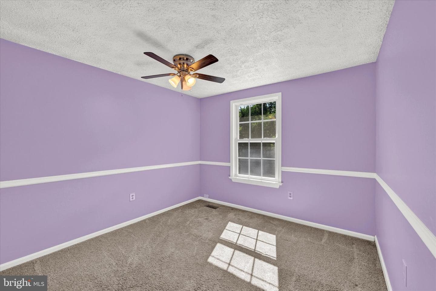 10843 Olde Woods Way photo 15