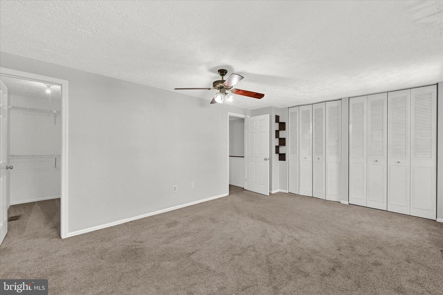 10843 Olde Woods Way photo 19