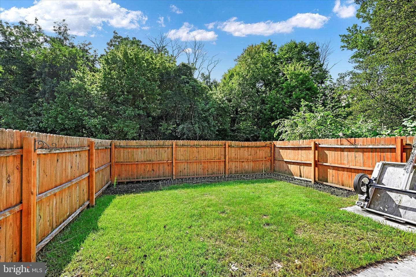 10843 Olde Woods Way photo 28