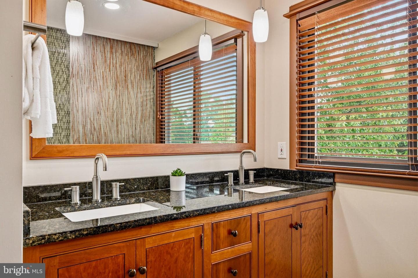 8507 Spring Harvest Court photo 33
