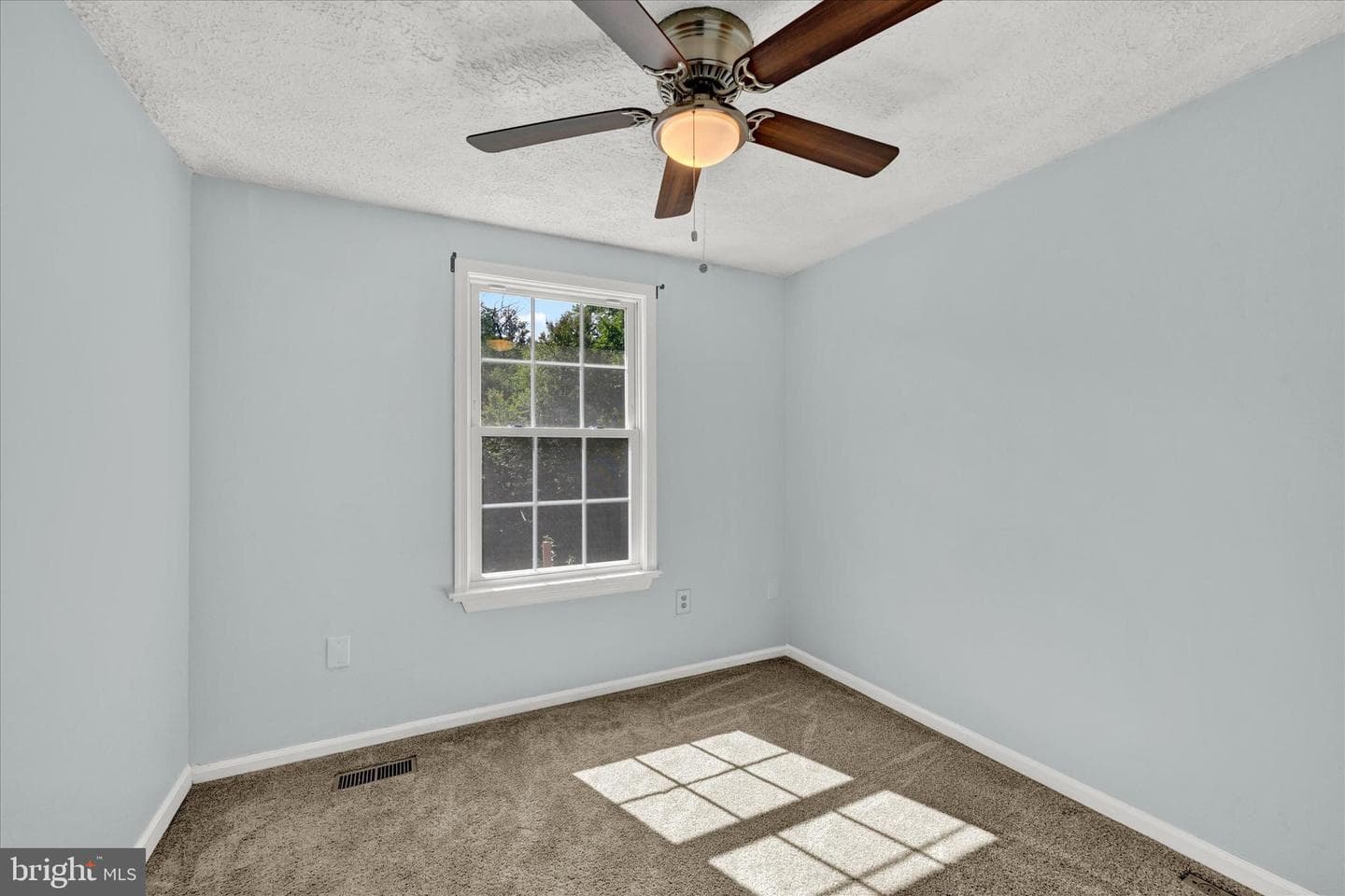 10843 Olde Woods Way photo 15