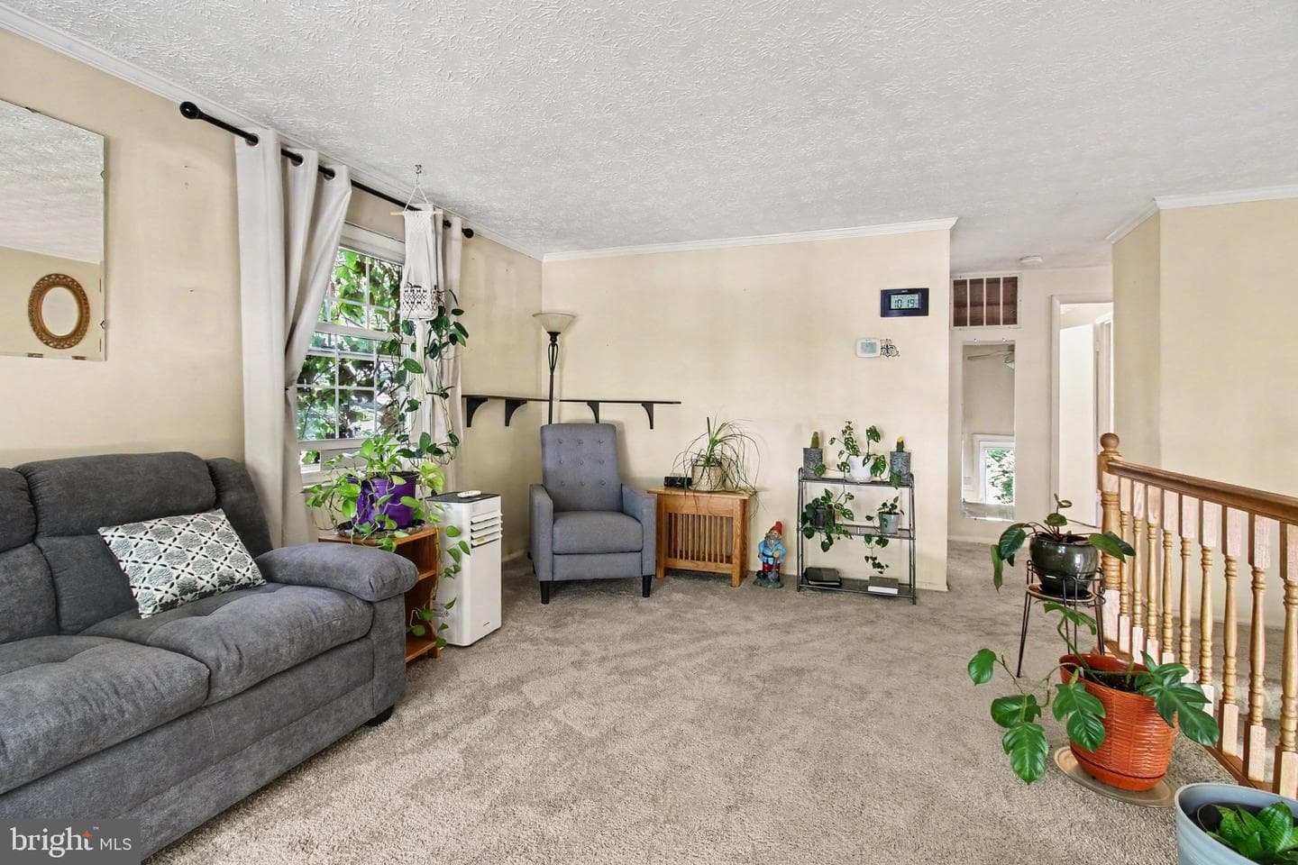 9229 Crazyquilt Court photo 5